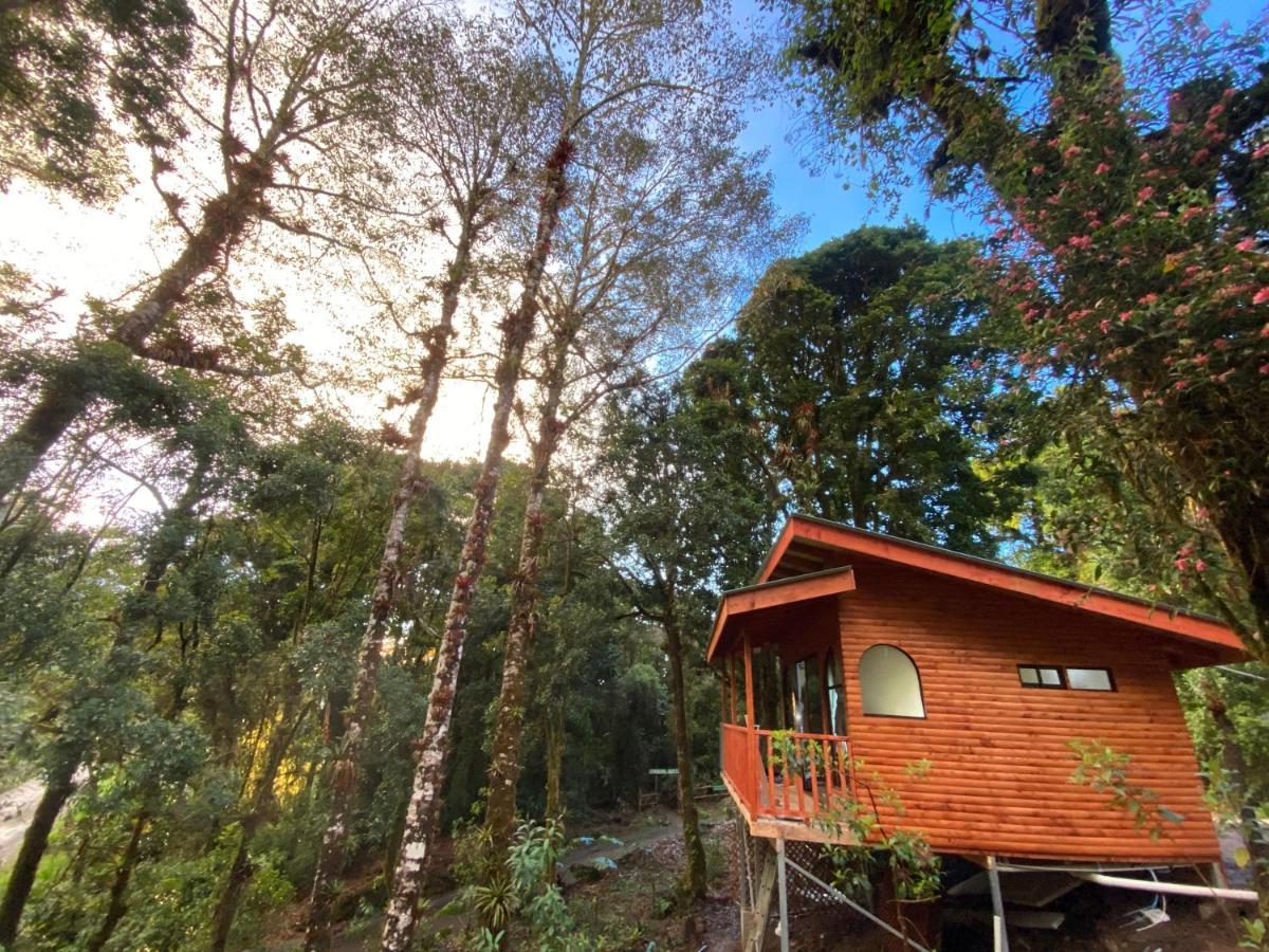 Cabana Anturios San José Extérieur photo