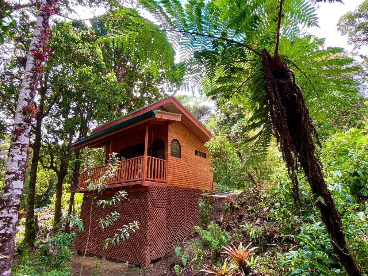 Cabana Anturios San José Extérieur photo