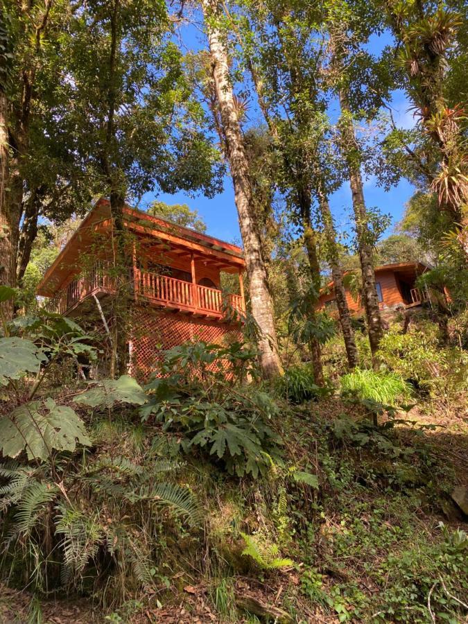 Cabana Anturios San José Extérieur photo