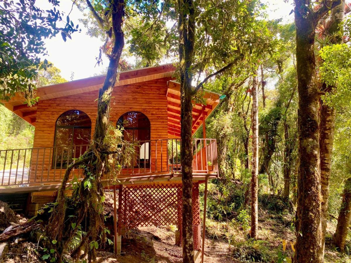 Cabana Anturios San José Extérieur photo