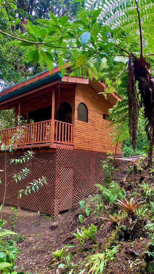 Cabana Anturios San José Extérieur photo