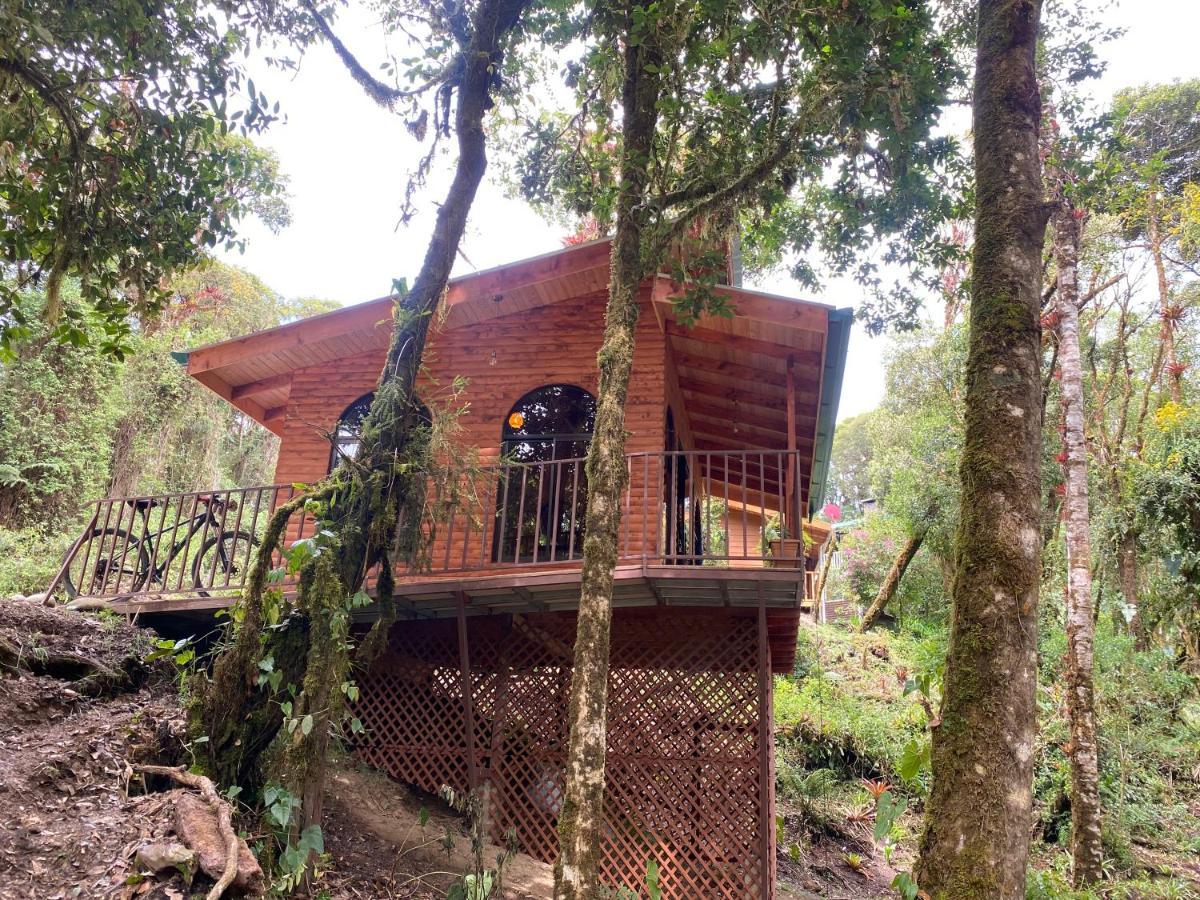 Cabana Anturios San José Extérieur photo
