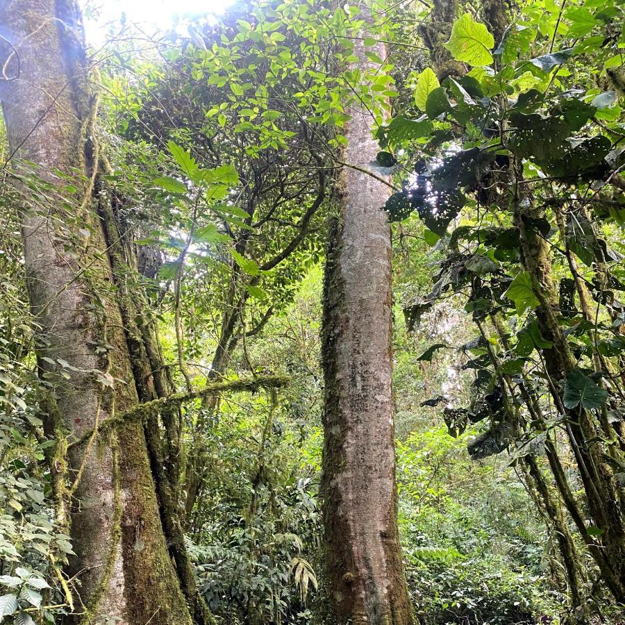 Cabana Anturios San José Extérieur photo