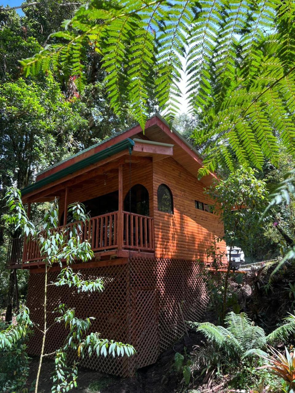 Cabana Anturios San José Extérieur photo